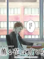 柒怪大挑战